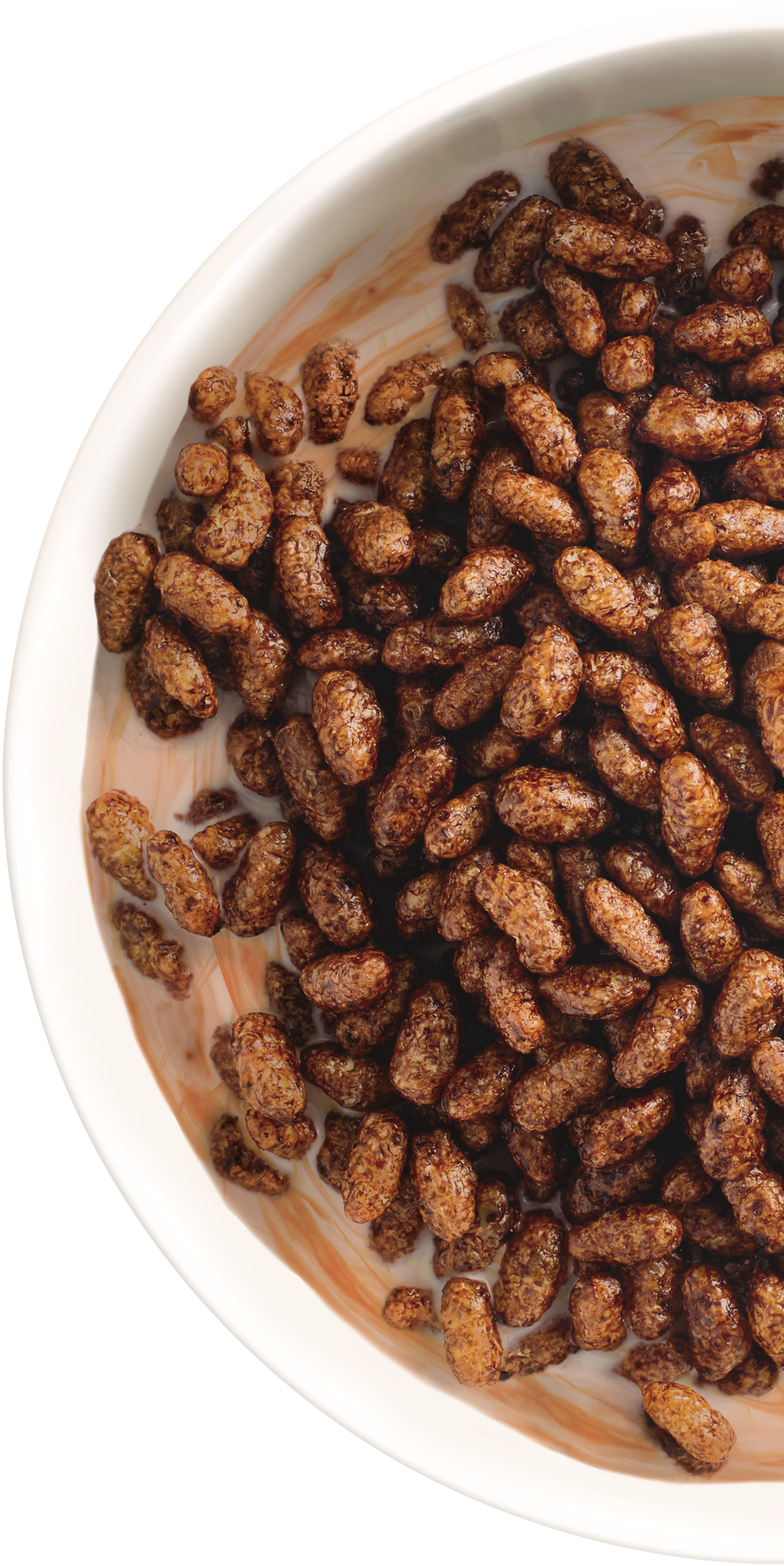 choco-chips